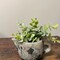 Cement Teapot Succulent Planter Rustic Flower Pot for Indoor Tabletop Decor
